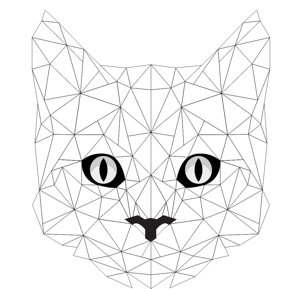 Logo Petadev LLC